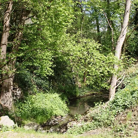 Soothing In Noviand