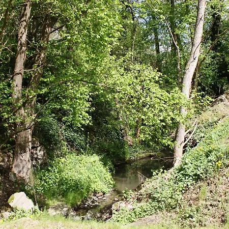 Mosel Mill Garden Tatil Evi